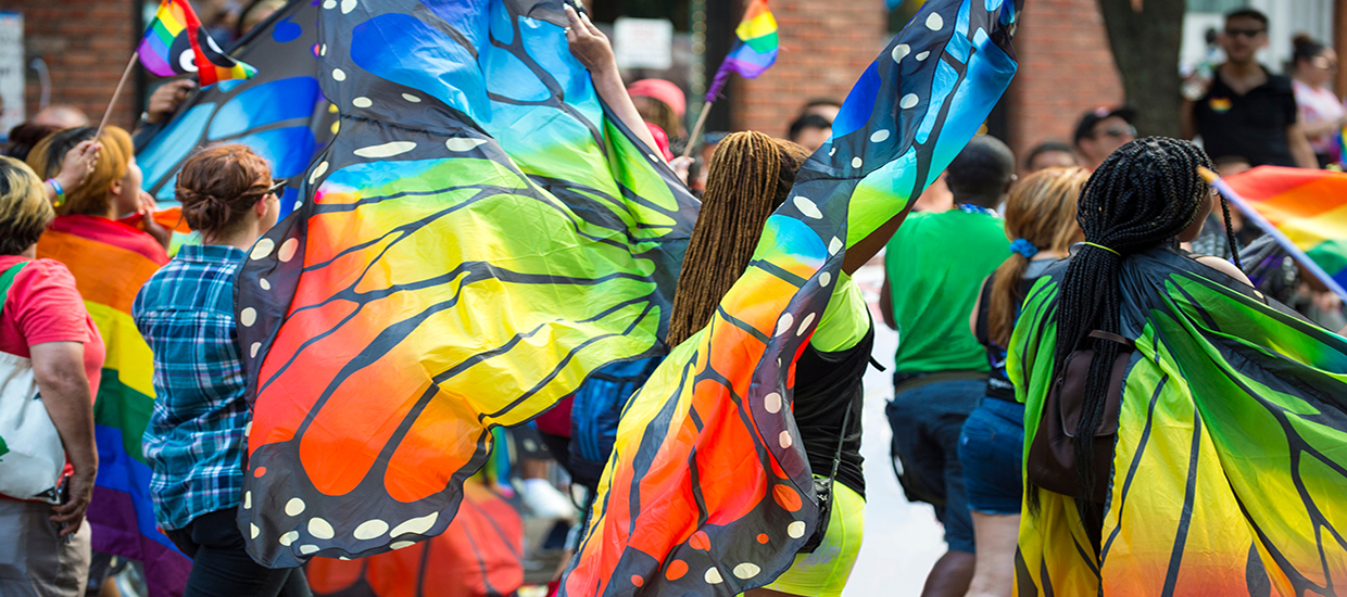 A photo of colorful butterfly wings worn by a participant at the New York City Pride Festival.
